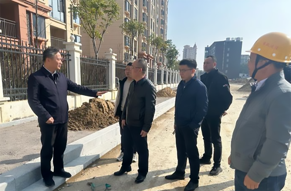 青山湖區(qū)黨委副書記、區(qū)長楊育星到利民路項目調(diào)研