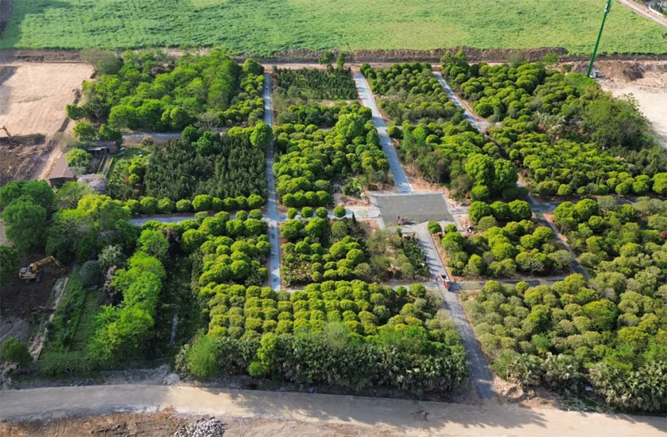 南昌九洲公園稻香園及植物園項目沖刺：農旅融合打造生態(tài)文旅新地標
